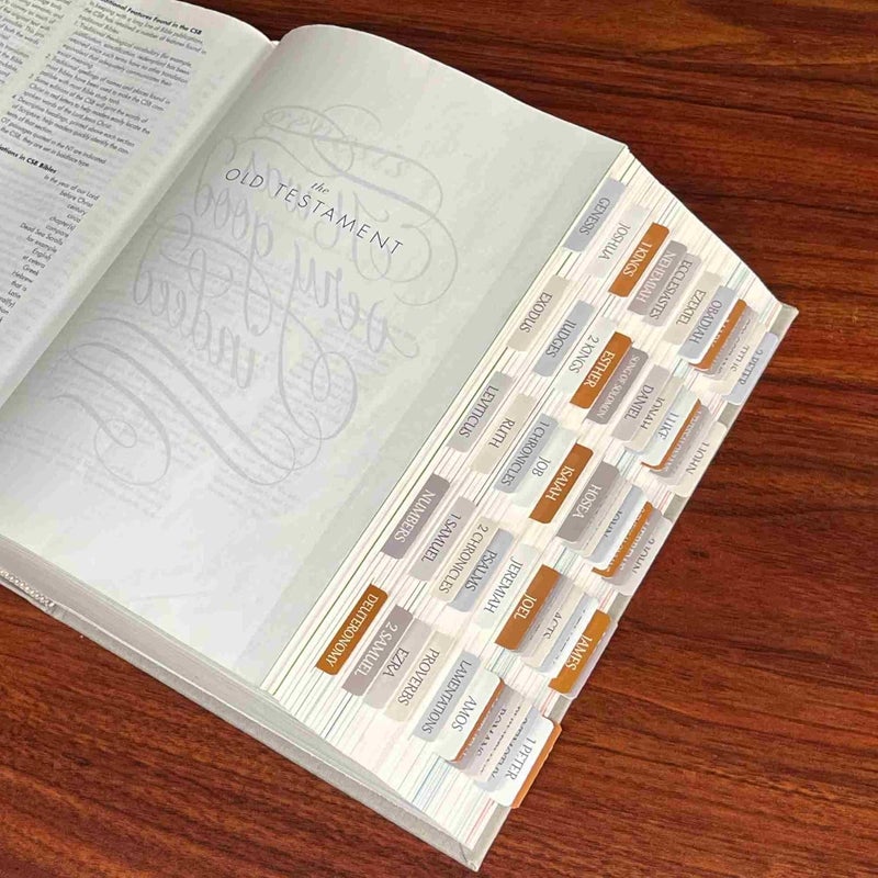 thinkor Reposition Laminated Bible Tabs, Large Print Stickers, Easy to Read & Apply Bible Tabs for Women & Man (Winter Snow) - Image 5